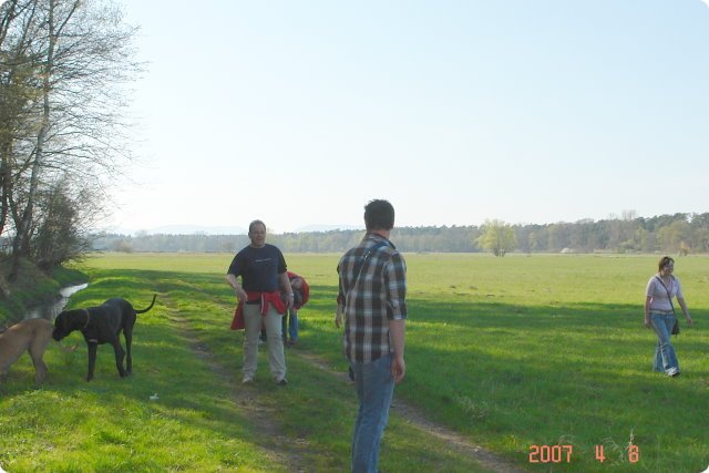 ostersonntag_-doggentreffen_034.jpg