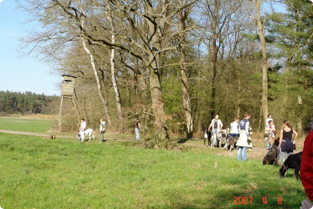 ostersonntag_-doggentreffen_039.jpg