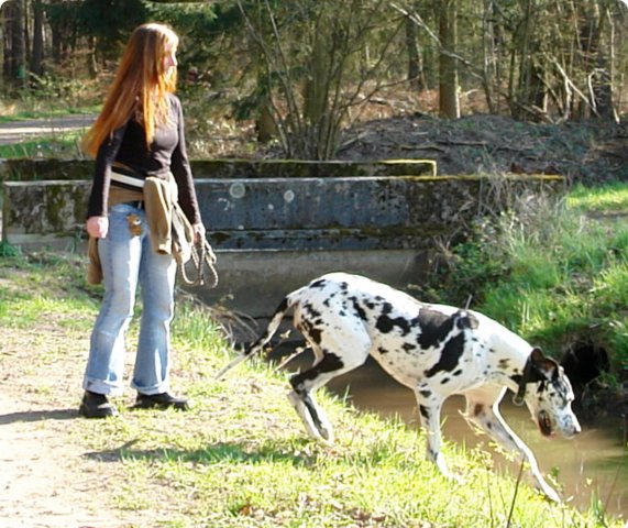 ostersonntag_-doggentreffen_040.jpg
