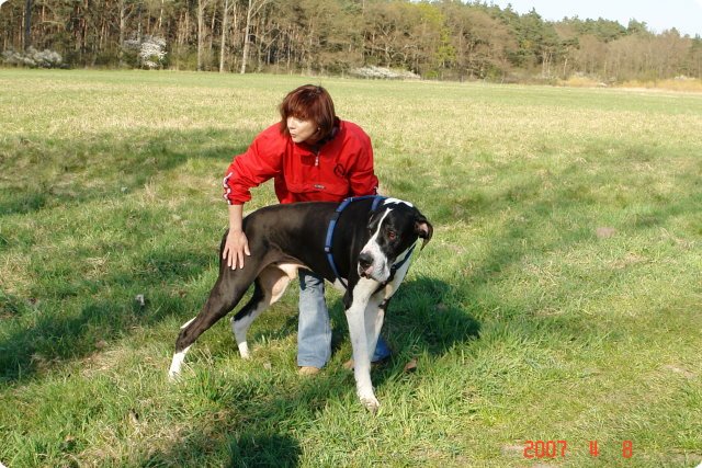 ostersonntag_-doggentreffen_049.jpg