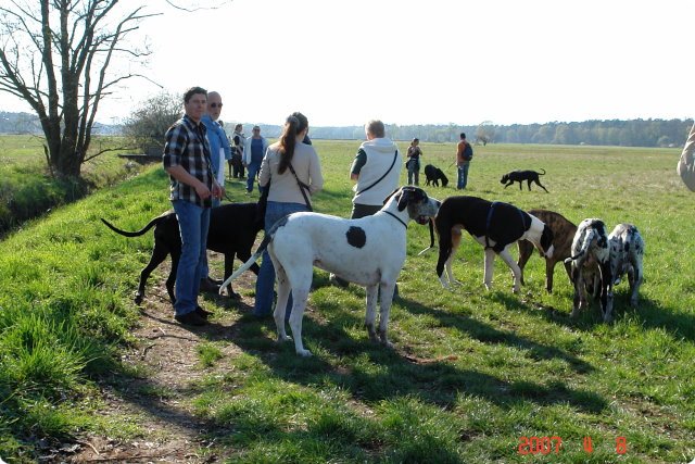 ostersonntag_-doggentreffen_052.jpg