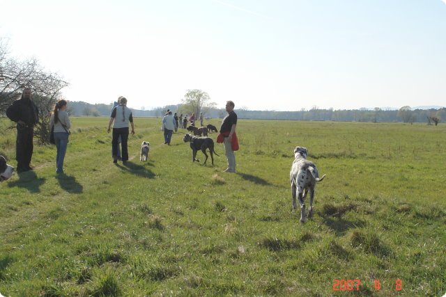 ostersonntag_-doggentreffen_055.jpg