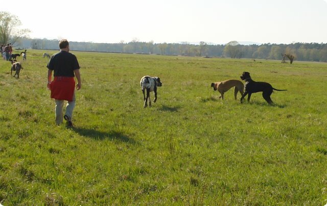 ostersonntag_-doggentreffen_056.jpg