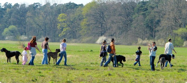 ostersonntag_-doggentreffen_060.jpg