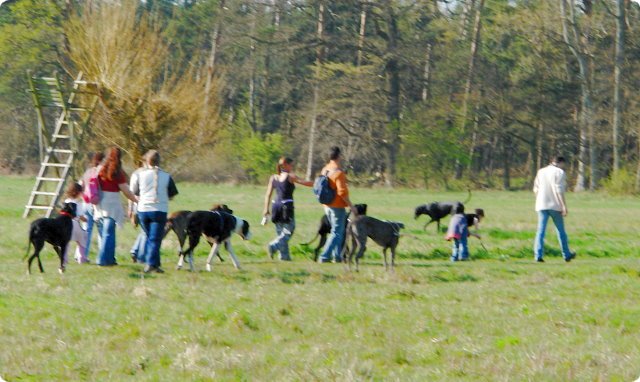 ostersonntag_-doggentreffen_061.jpg