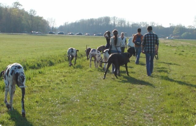 ostersonntag_-doggentreffen_089.jpg