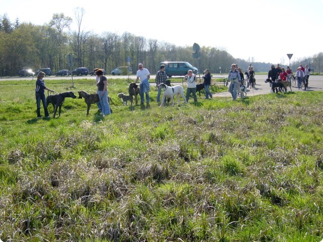 ostersonntag_-doggentreffen_118.jpg