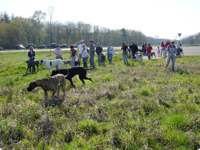 ostersonntag_-doggentreffen_119.jpg