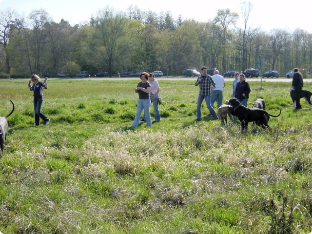 ostersonntag_-doggentreffen_121.jpg