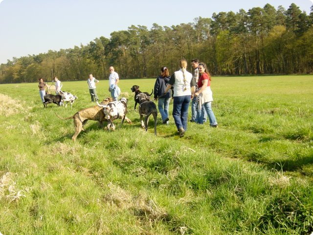 ostersonntag_-doggentreffen_123.jpg