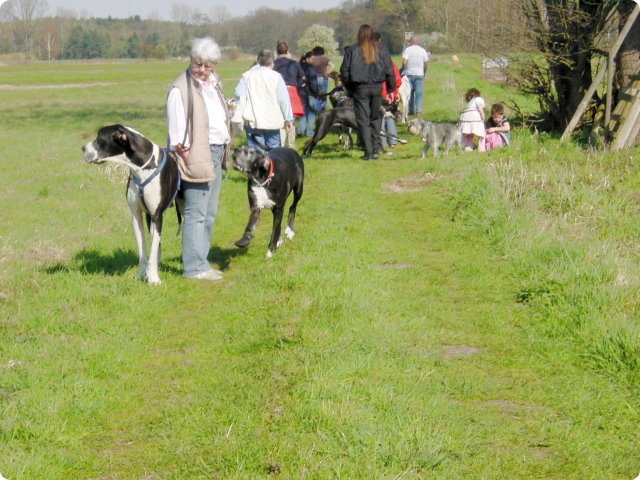 ostersonntag_-doggentreffen_124.jpg