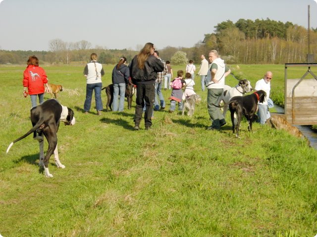 ostersonntag_-doggentreffen_125.jpg