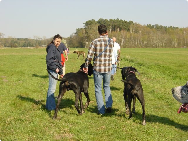 ostersonntag_-doggentreffen_130.jpg