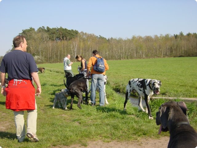 ostersonntag_-doggentreffen_133.jpg