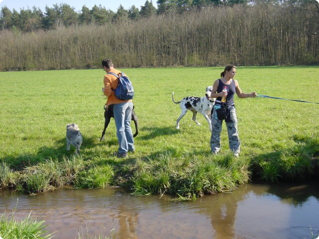 ostersonntag_-doggentreffen_138.jpg