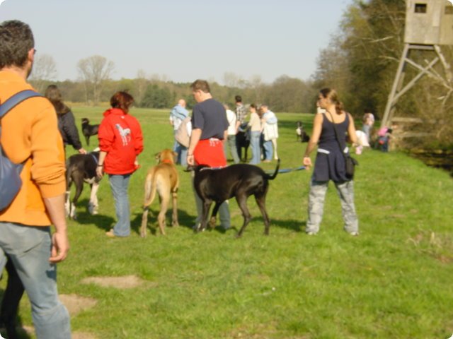 ostersonntag_-doggentreffen_141.jpg