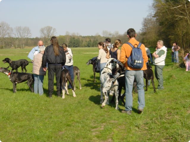 ostersonntag_-doggentreffen_142.jpg