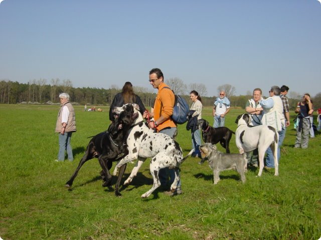 ostersonntag_-doggentreffen_145.jpg