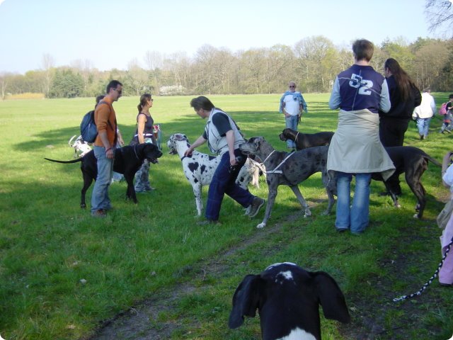ostersonntag_-doggentreffen_153.jpg