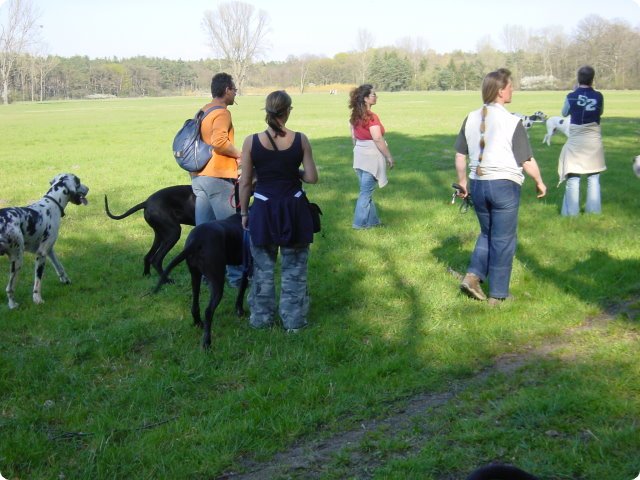 ostersonntag_-doggentreffen_155.jpg