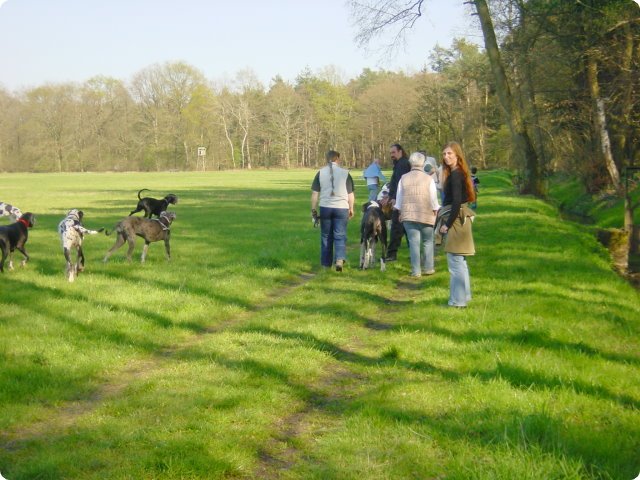 ostersonntag_-doggentreffen_156.jpg