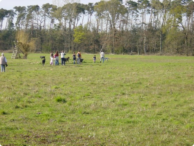 ostersonntag_-doggentreffen_158.jpg
