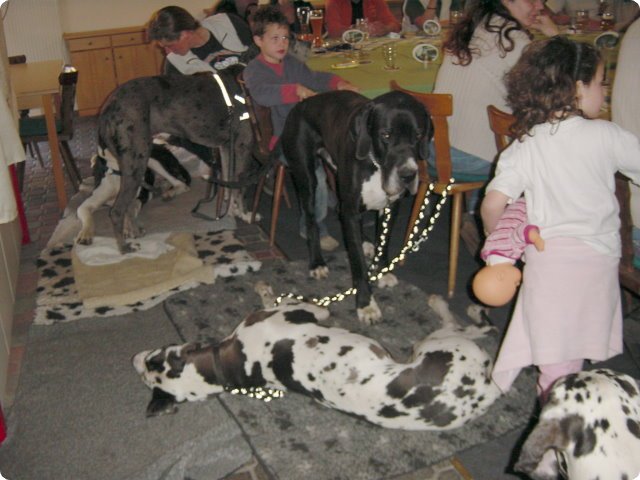 ostersonntag_-doggentreffen_173.jpg