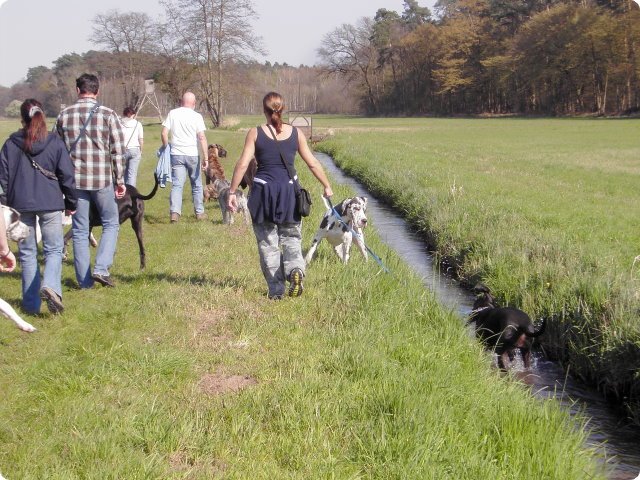 ostersonntag_-doggentreffen_190.jpg