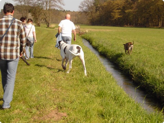 ostersonntag_-doggentreffen_191.jpg