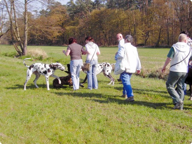 ostersonntag_-doggentreffen_192.jpg