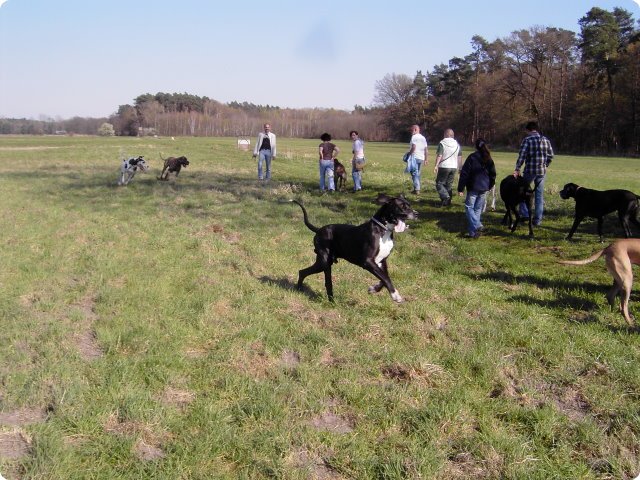 ostersonntag_-doggentreffen_195.jpg