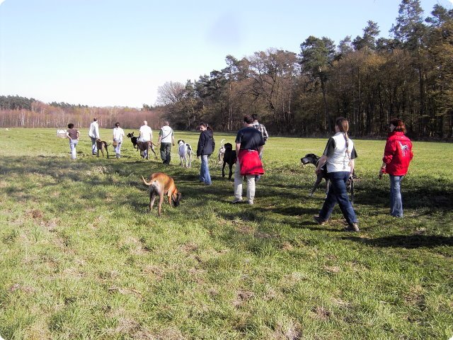 ostersonntag_-doggentreffen_196.jpg