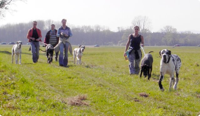 ostersonntag_-doggentreffen_197.jpg