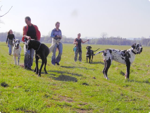 ostersonntag_-doggentreffen_199.jpg