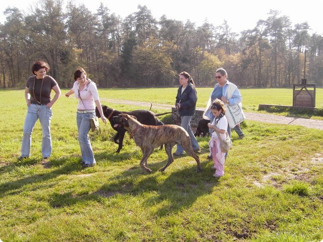 ostersonntag_-doggentreffen_207.jpg