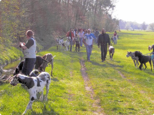 ostersonntag_-doggentreffen_210.jpg