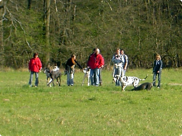 ostersonntag_-doggentreffen_213.jpg