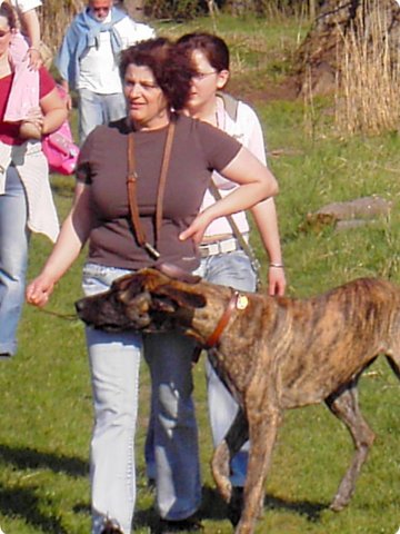 ostersonntag_-doggentreffen_214.jpg