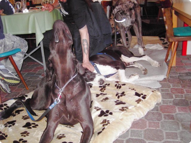 ostersonntag_-doggentreffen_237.jpg