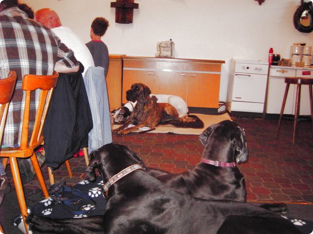 ostersonntag_-doggentreffen_245.jpg