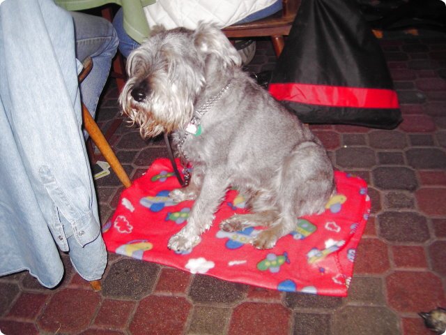 ostersonntag_-doggentreffen_247.jpg