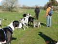ostersonntag_-doggentreffen_023.jpg