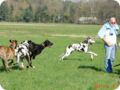 ostersonntag_-doggentreffen_025.jpg