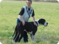 ostersonntag_-doggentreffen_047.jpg