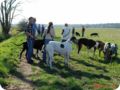ostersonntag_-doggentreffen_052.jpg