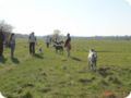 ostersonntag_-doggentreffen_055.jpg