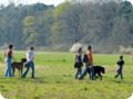 ostersonntag_-doggentreffen_060.jpg
