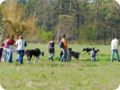 ostersonntag_-doggentreffen_061.jpg