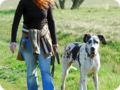 ostersonntag_-doggentreffen_063.jpg