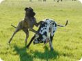 ostersonntag_-doggentreffen_070.jpg